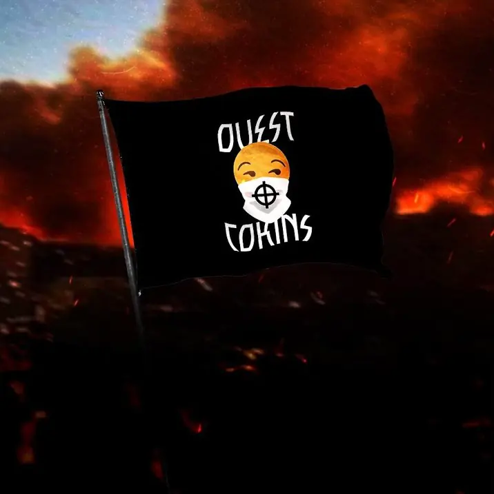 Cokins on Tour cover